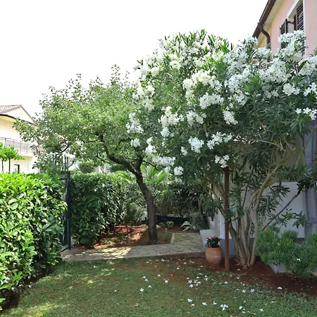 Ana House With