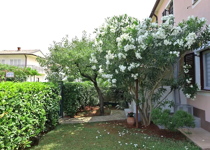 Ana House With